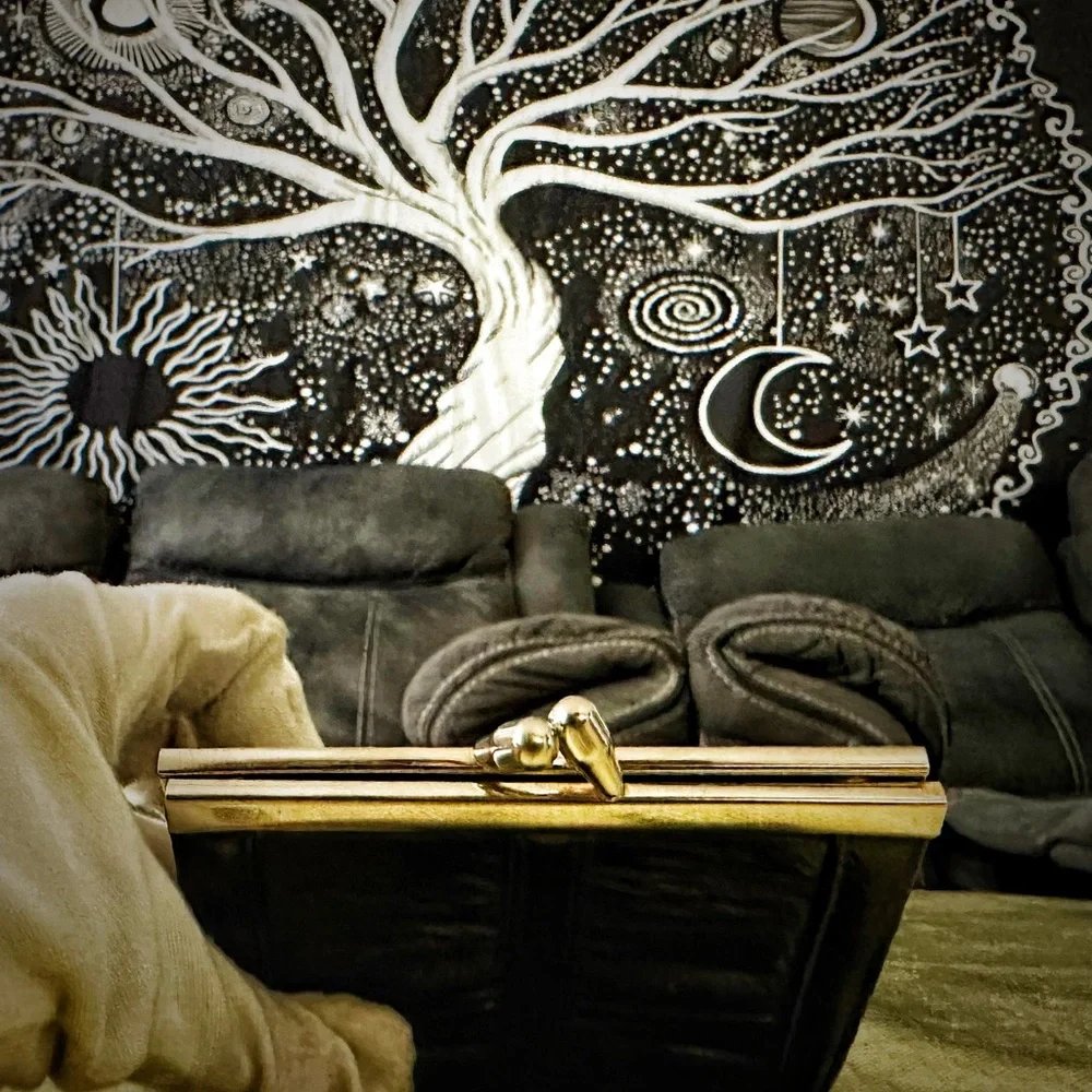 Vintage 1950 Eel Skin Kiss Closure coin purse - Picture 7 of 15